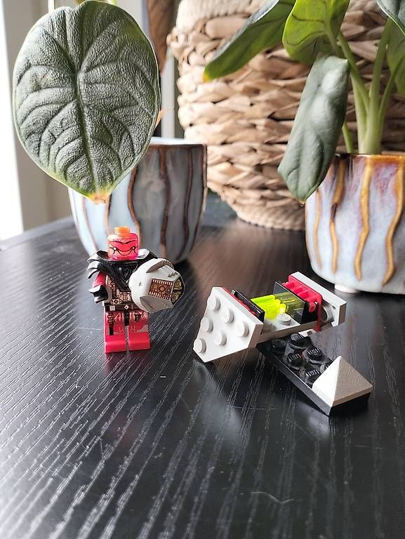 Pflanzen & Samen: Navicella spaziale Lego – Gebraucht aus Locarno von gab_22kt 1