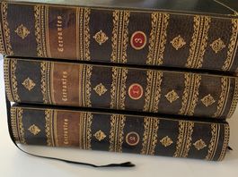 Cervantes Ausgewählte Werke 3 volumes reliés cuir doré 1923 
