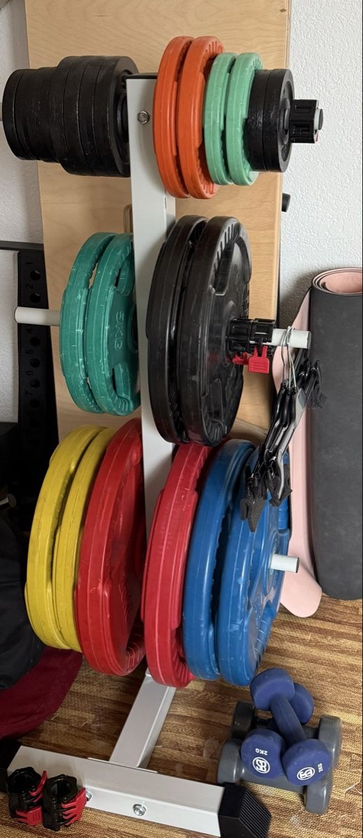 Hometrainer: Bret Contreras Strength Glute Rack, Gewichtsscheiben – Usato da Mellingen venduto da hobbyseller1979 3