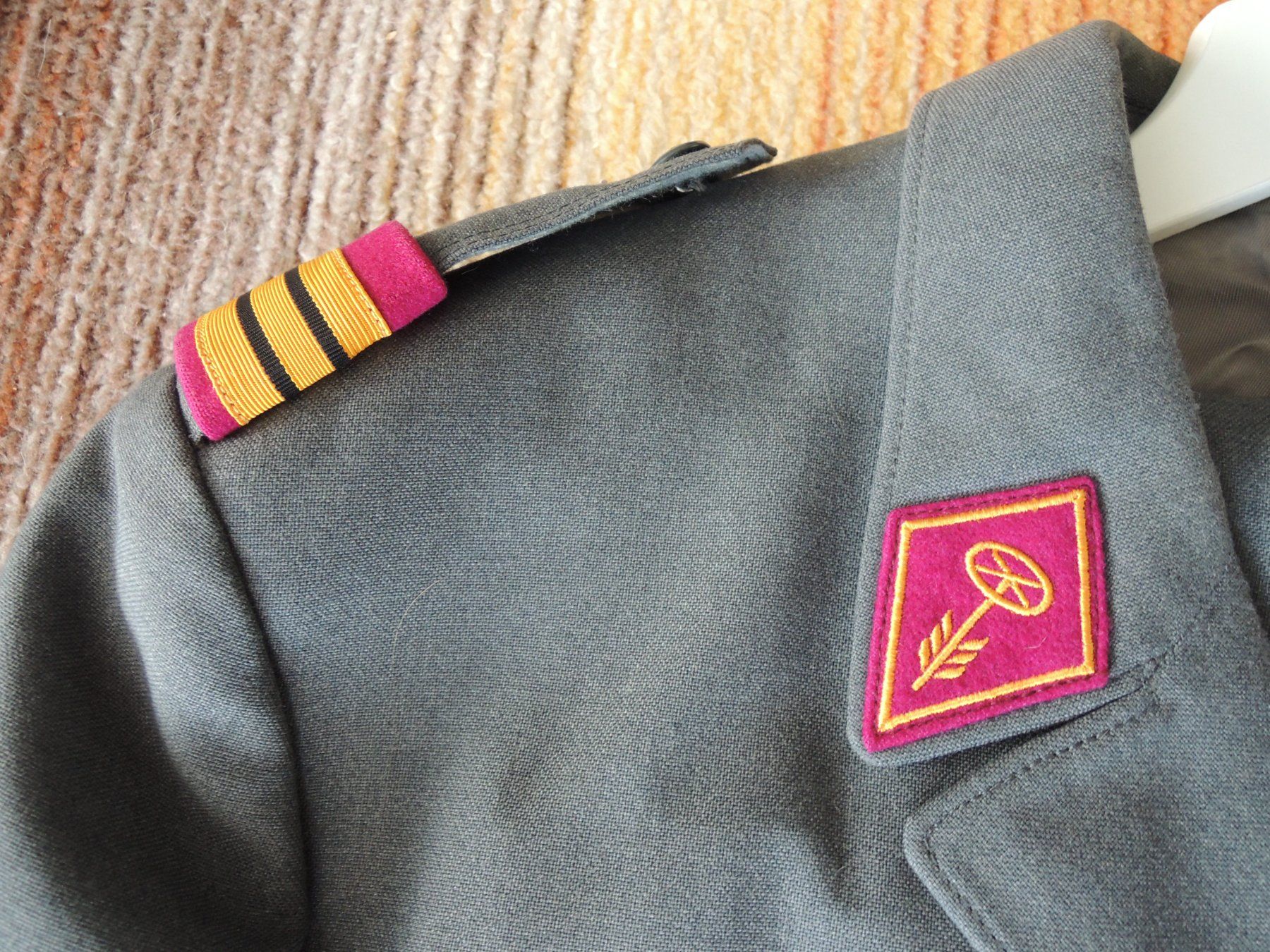 Schweizer Armee Uniformi: Schweizer Armee Uniformen OBERST – Usato da Uznach venduto da Othmar52 1