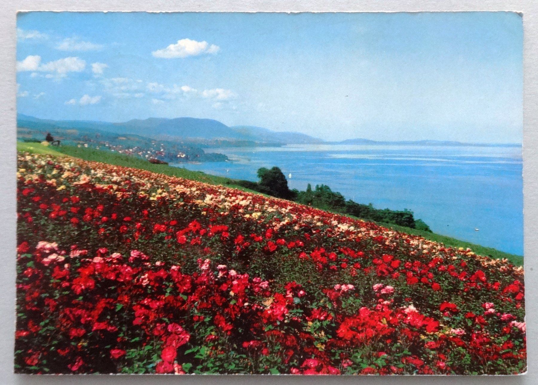 Cartoline postali: Vaumarcus - La Roseraie – Usato da Fétigny venduto da Billy2miny
