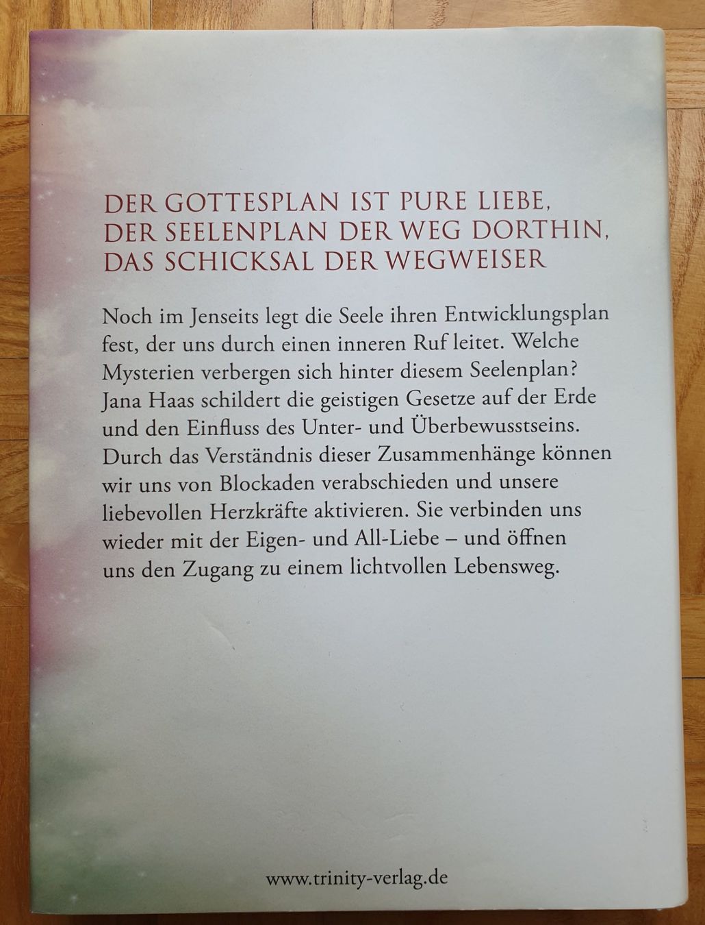 Livres: Der Seelenplan – D'occasion à Allschwil par Jojina123 1