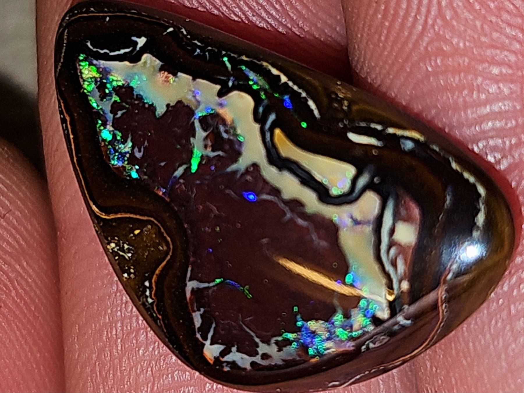 Edelsteine: Seltene natürliche Opal Nuss aus Yowah, Australien – Neu und originalverpackt aus Uerkheim von Winwinner 3