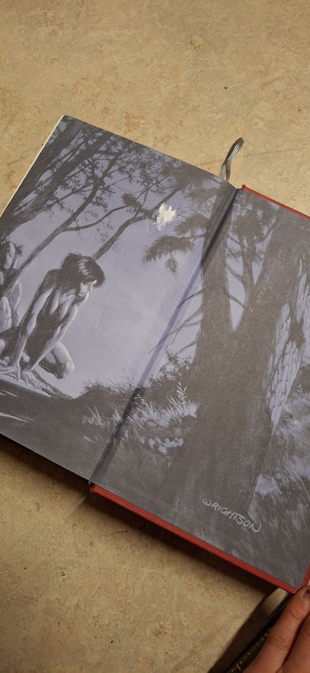 Libri: Stephen King Der Dunkle Turm Hardcover, 3 Bände – Usato da Brienz BE venduto da mondchatz1 6