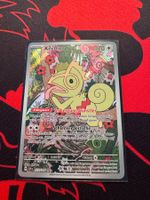 Kecleon (SSP 213) - Stürmische Funken