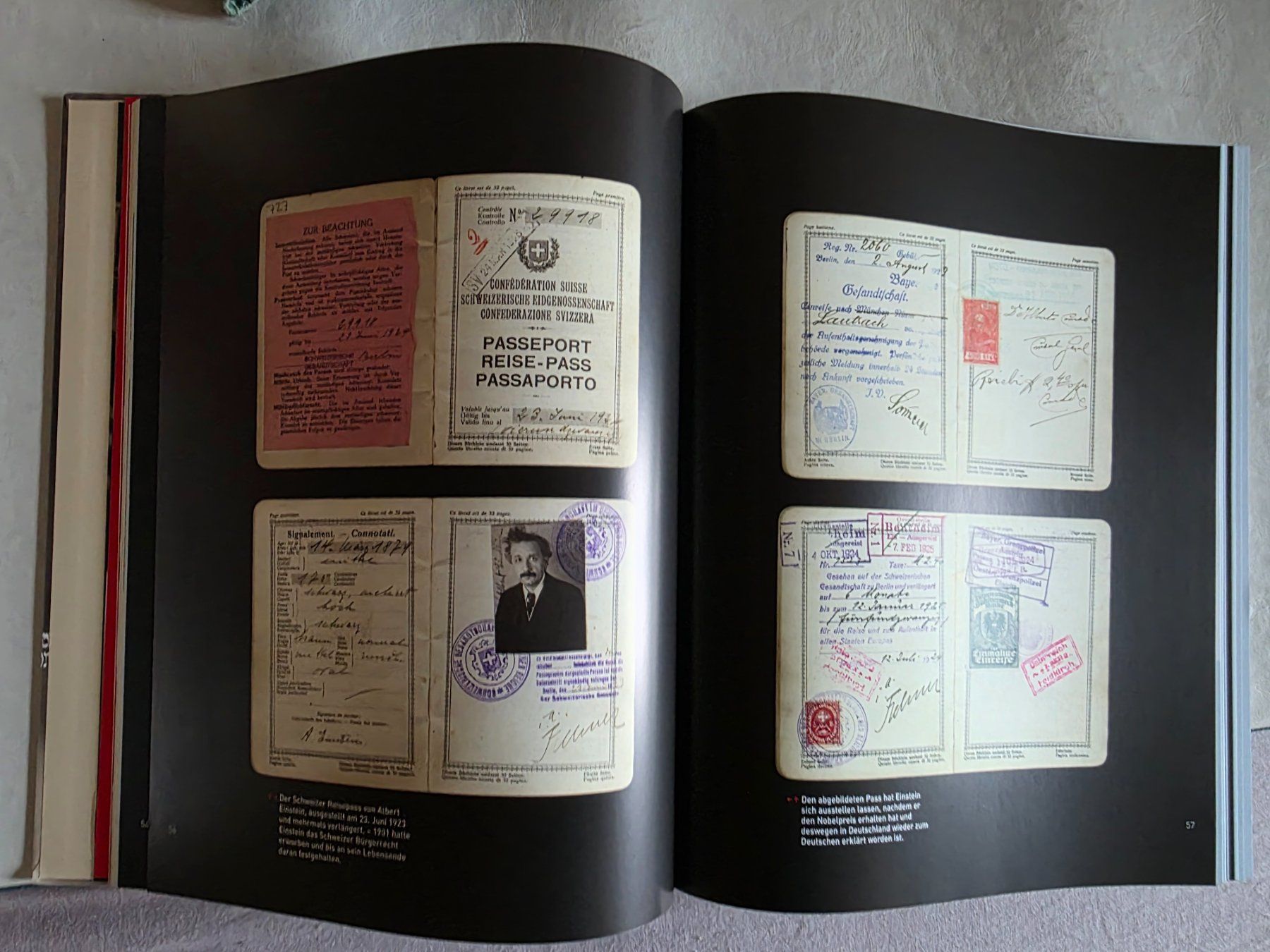Libri: Albert Einstein - Privat und ganz Persönlich - 2004 - Neuw. – Nuovo (secondo la descrizione) da Walterswil BE venduto da Lonitti 4