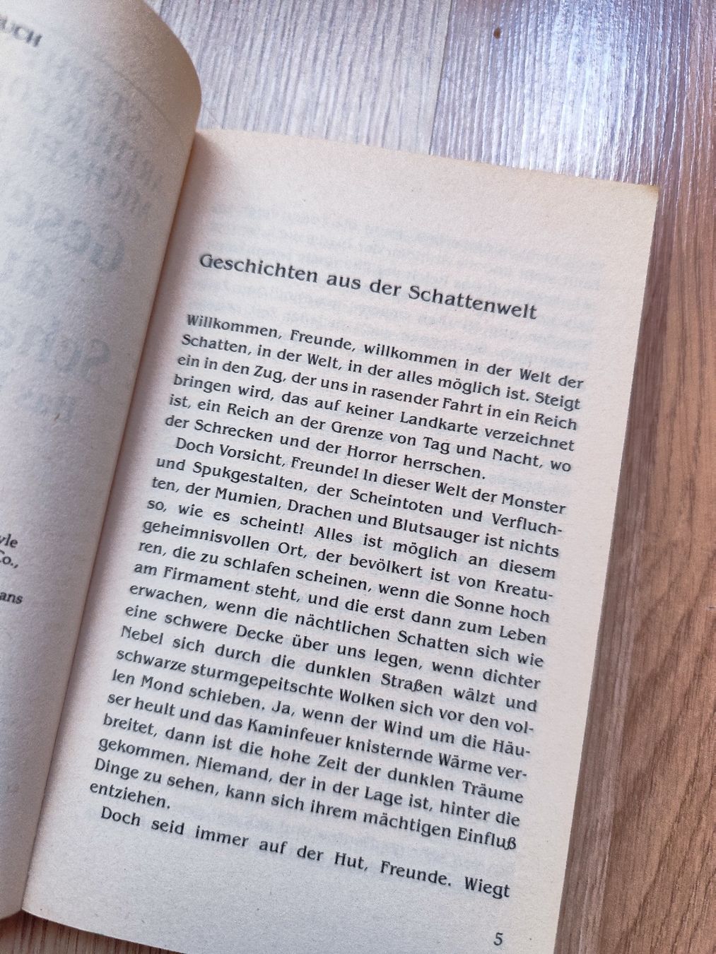 Libri: Horror Stories Deutsch – Usato da Mägenwil venduto da VintageGirly 9