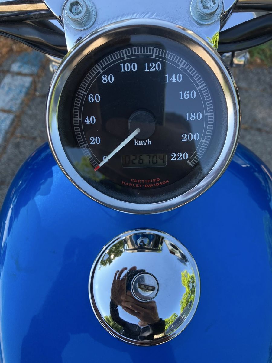 Harley-Davidson Chopper: Harley-Davidson Sportster – Gebraucht aus Winterthur von aja-8311 4