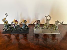 WARHAMMER TOW DRAGON OGRES x6