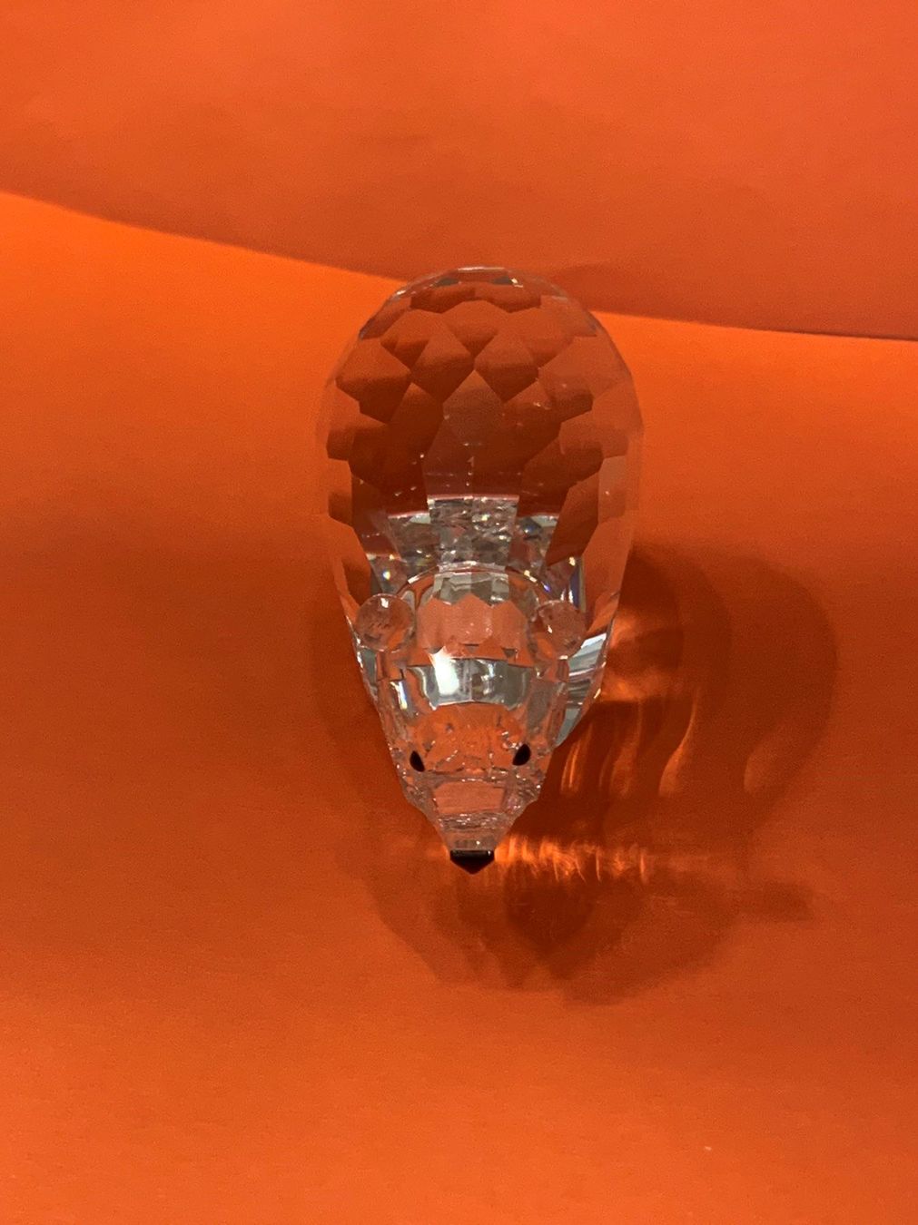 Swarovski Statuette: Swarovski Große ICE Bär – Nuovo (secondo la descrizione) da Oberglatt ZH venduto da Multimix 3