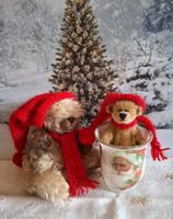 2 KÜNSTLER WINTERTEDDY MIT NIKOLAUSGLÄSLI