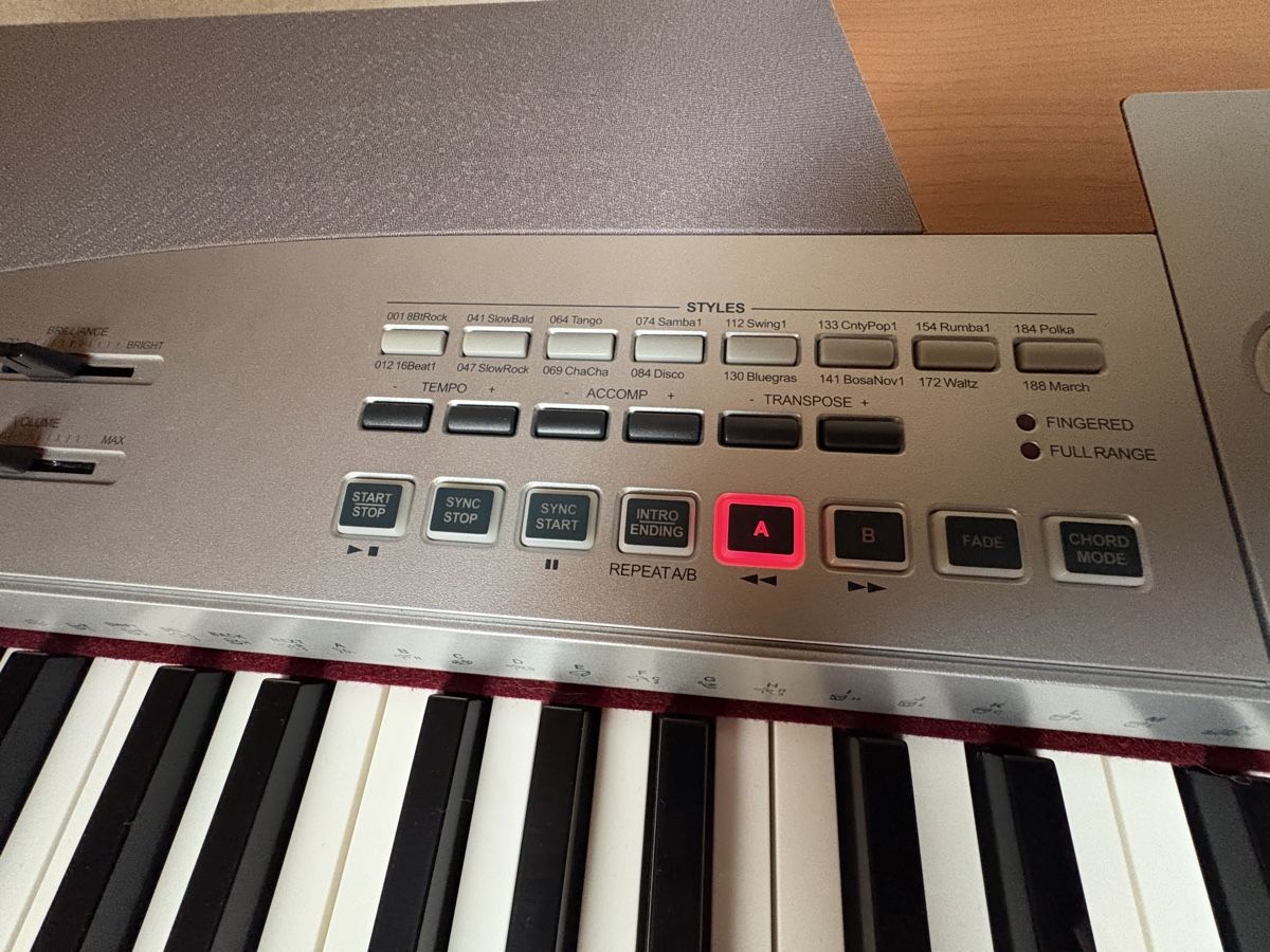 C.Giant Strumenti musicali: ePiano C.Giant – Usato da Grenchen venduto da Schwasie1 5