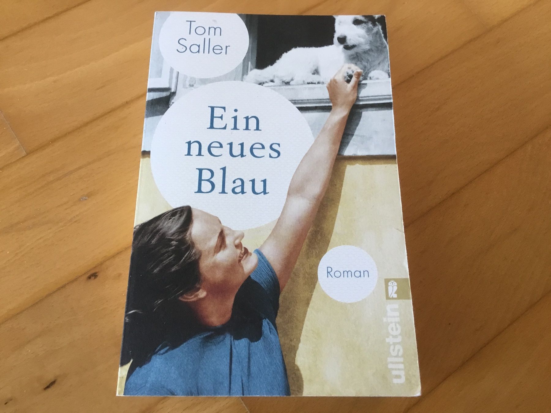 Libri: Tom Saller - Ein neues Blau – Usato da Kerzers venduto da Georges3210