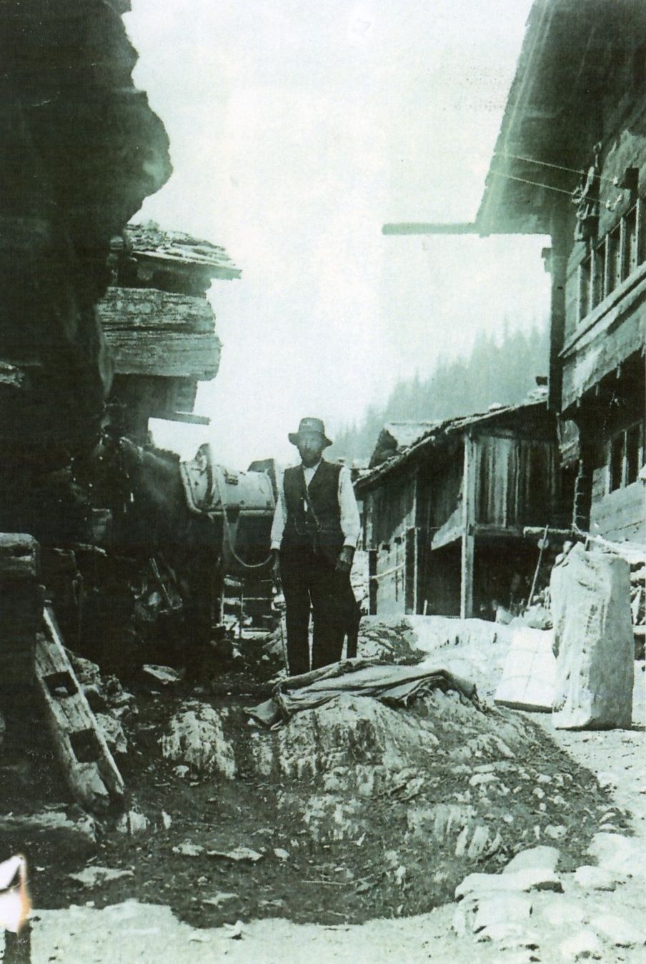 Cartoline postali: Lötschental  -   Maultier-Post     anno  1 9 0 3 – Usato da Brig venduto da Valcards54