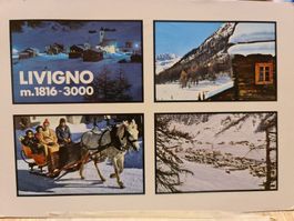 Ansichtskarte Livigno Italien