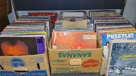 Schallplattensammlung Pop, Rock, Schlager, Sampler, ca. 500x