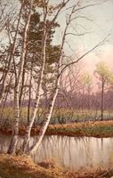 Alte Ansichtskarte - Birken am Wasser - Herbstimpressionen