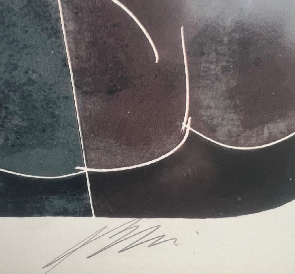 Arts picturaux & lithographies: Hans Erni, handsigniert, nummeriert – D'occasion à Rain par Pic-Ass 2