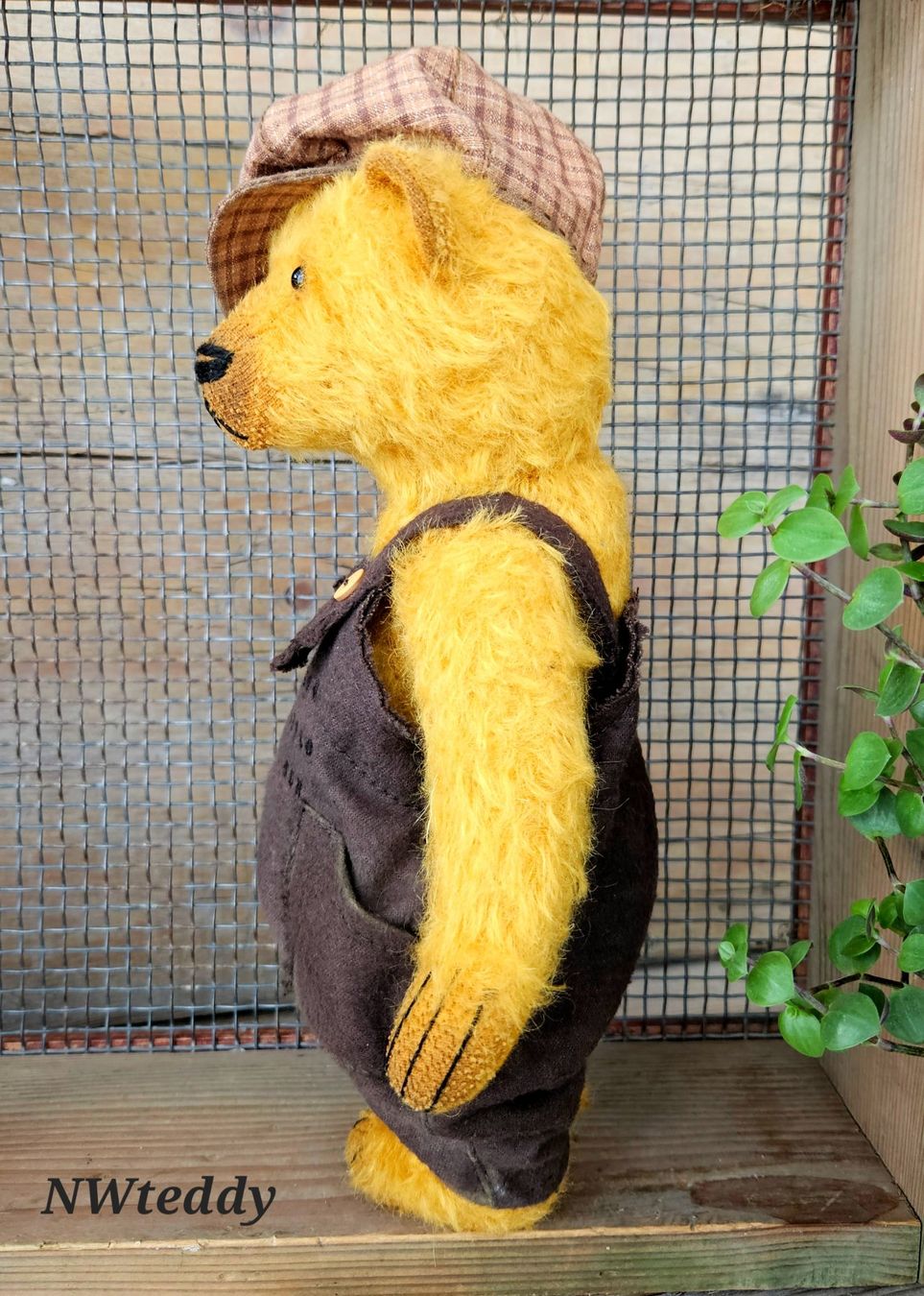 Spielzeuge: Teddybär, Sammler teddy – Neu (gemäss Beschreibung) aus Chur von nataliiaw 4