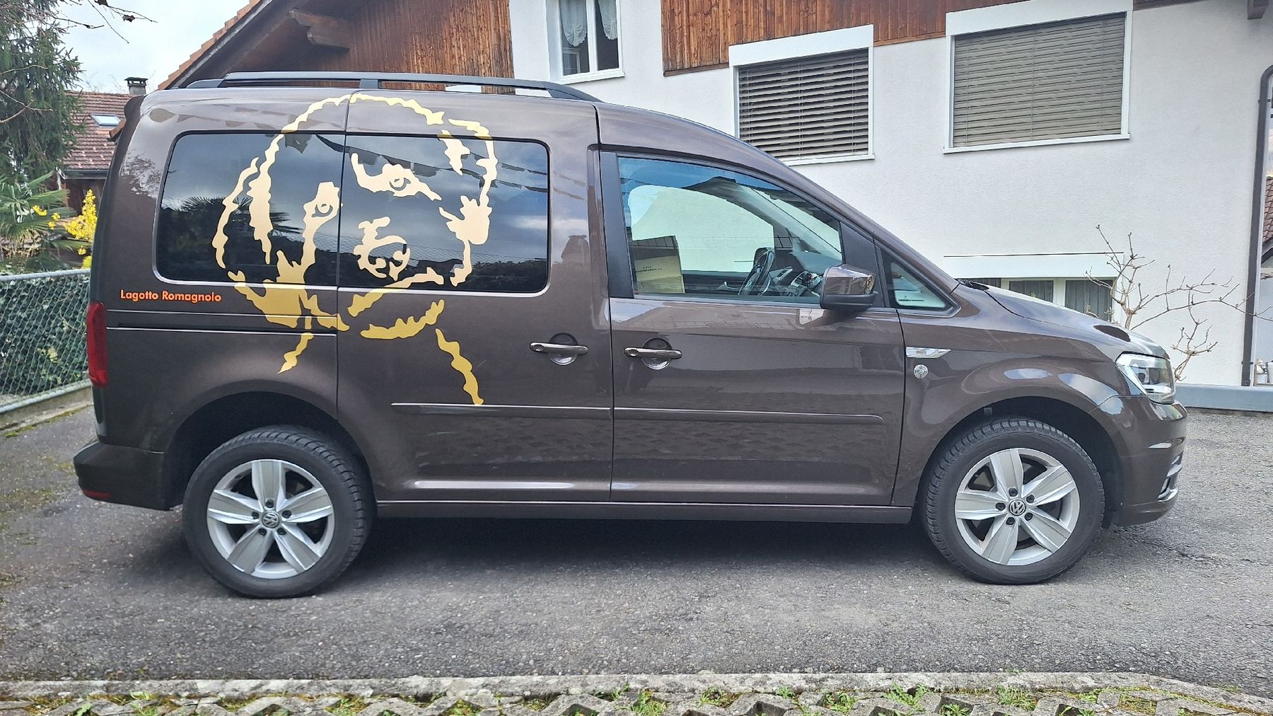 Gabbie, trasporto & Sicurezza: Hunde Transportbox – Usato da Flüeli-Ranft venduto da rolisfahr 5