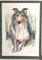 Fritz Hug (1921-1989) - Farblithografie - Collie