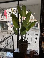 Künstliche Strelitzie mit Übertopf