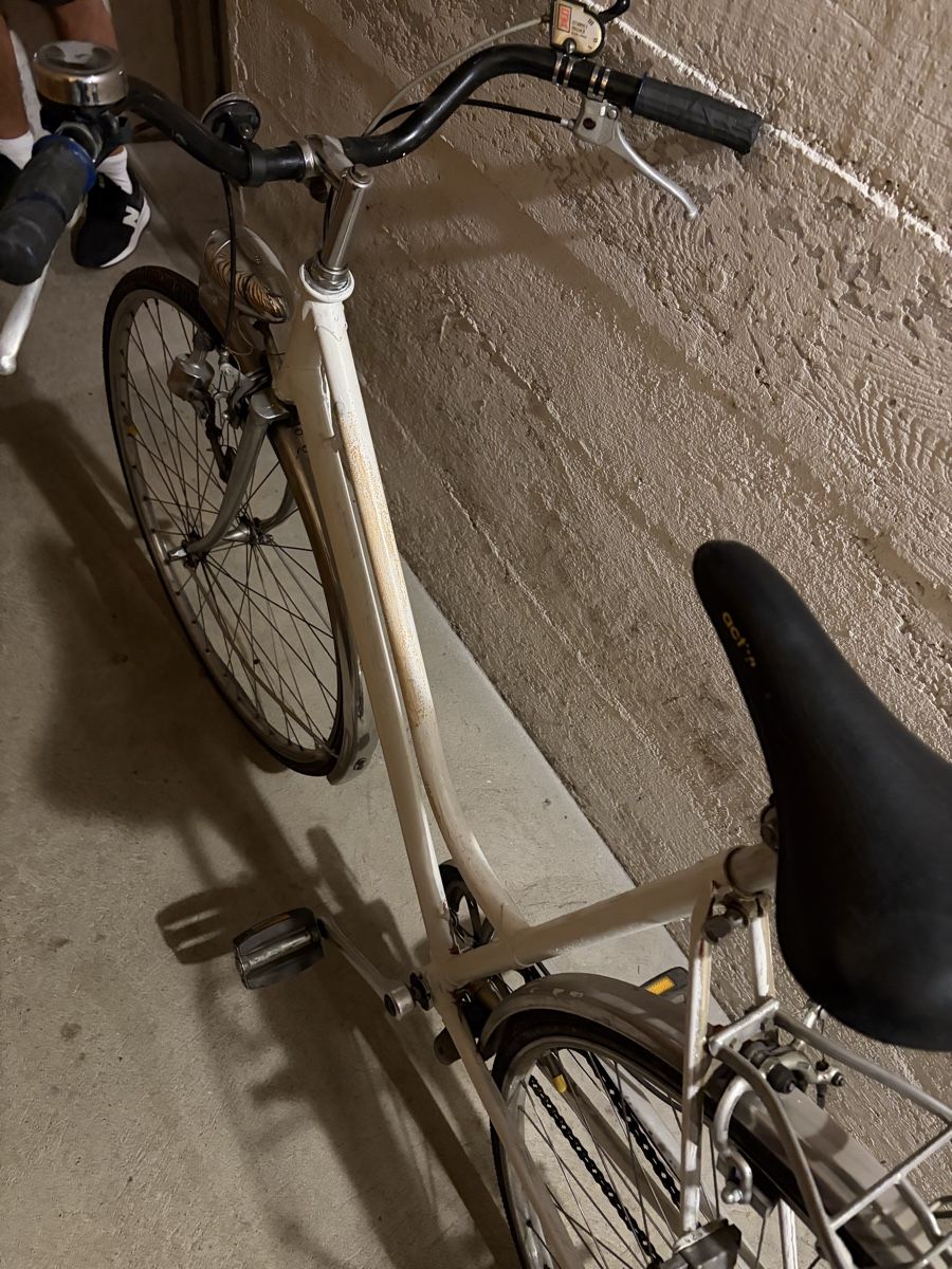 Velos: Damenvelo / Damenfahrrad – Gebraucht aus Frauenkappelen von SSCN01 5