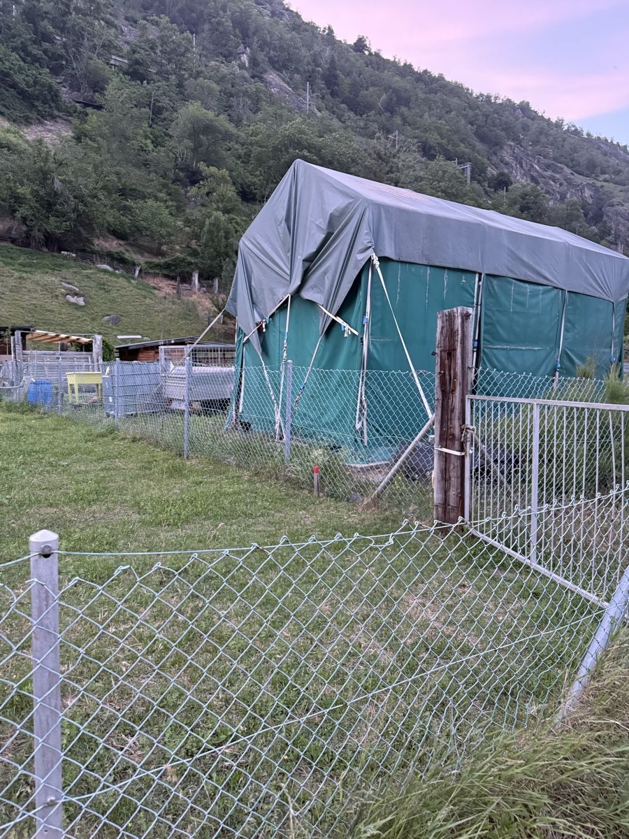 Accessori per la stalla: Weidezelt / Garagenzelt – Difettoso da Gamsen venduto da Dominique87Seiler
