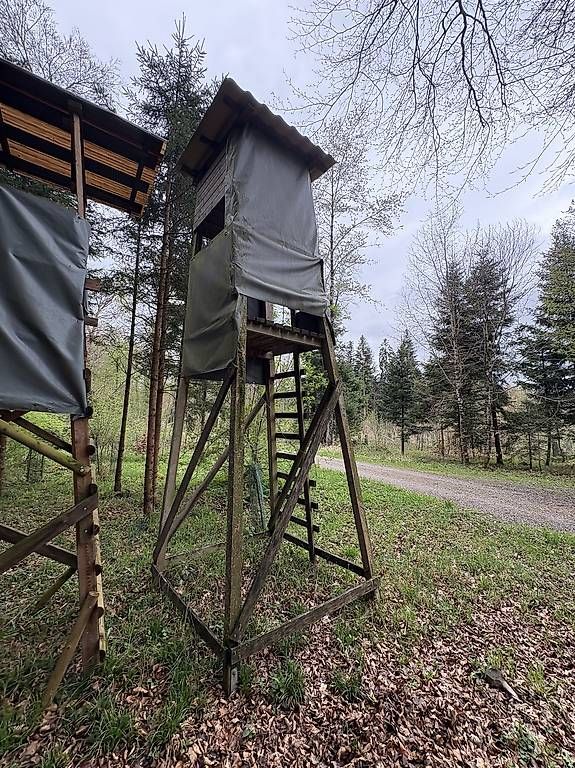 Holzartikel: Stabile Jagdkanzel Eiche – Gebraucht aus Rickenbach ZH von Pumba_500 3