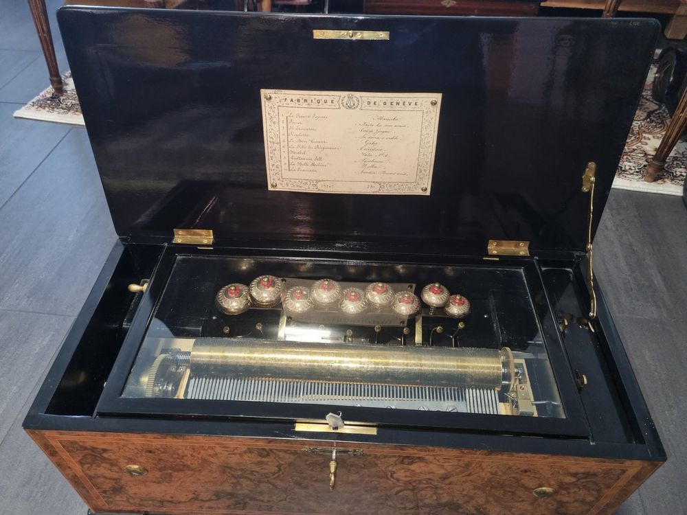 Boîte musique Ancienne 1880 de Genève Kaufen auf Ricardo