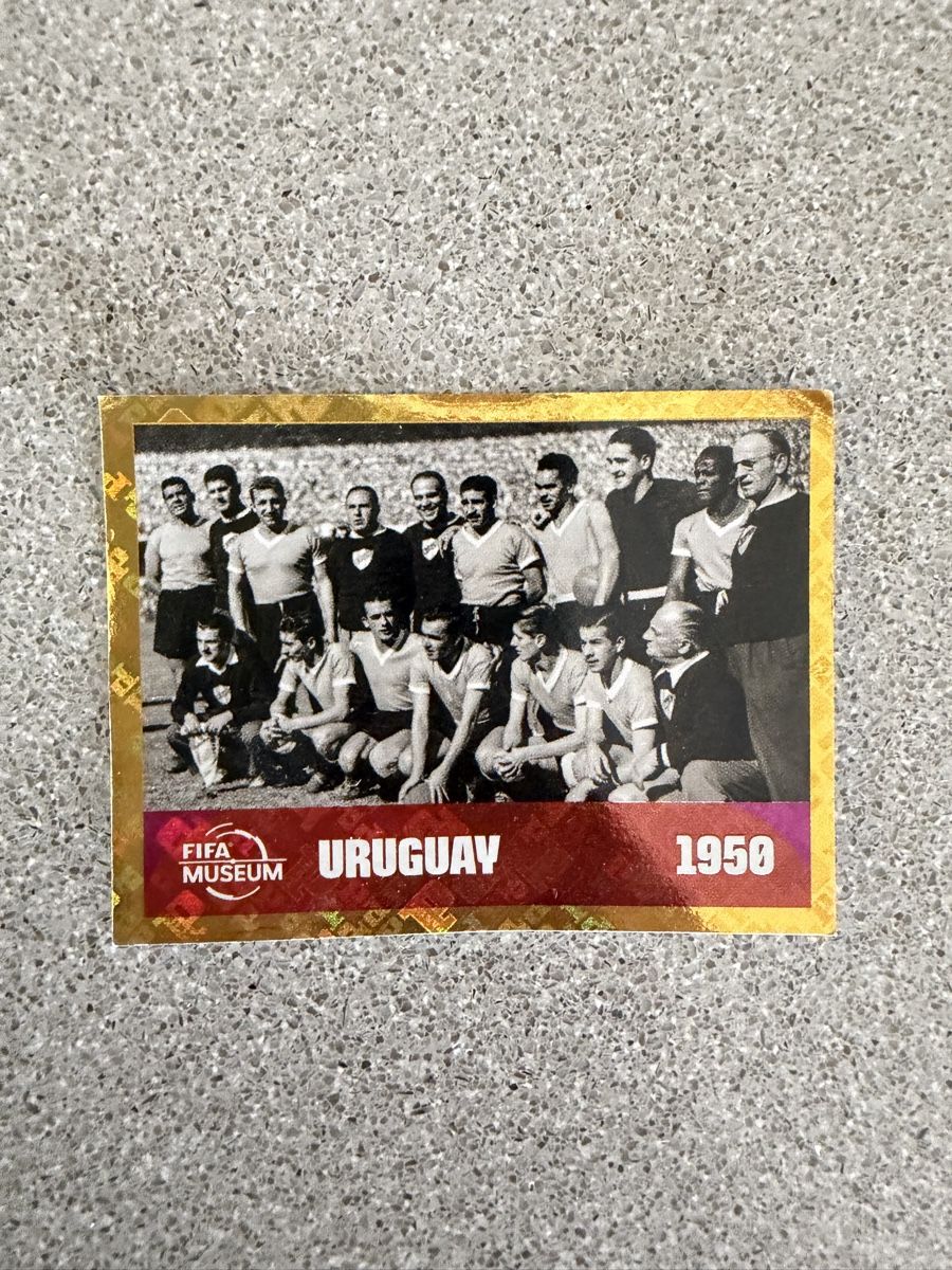 Panini Cartes à collectionner: FWC 10 Panini – D'occasion à Niederteufen par Nati123
