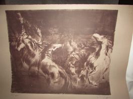 Gravure originale - Chevaux sauvages - Signée Ruzo (52)