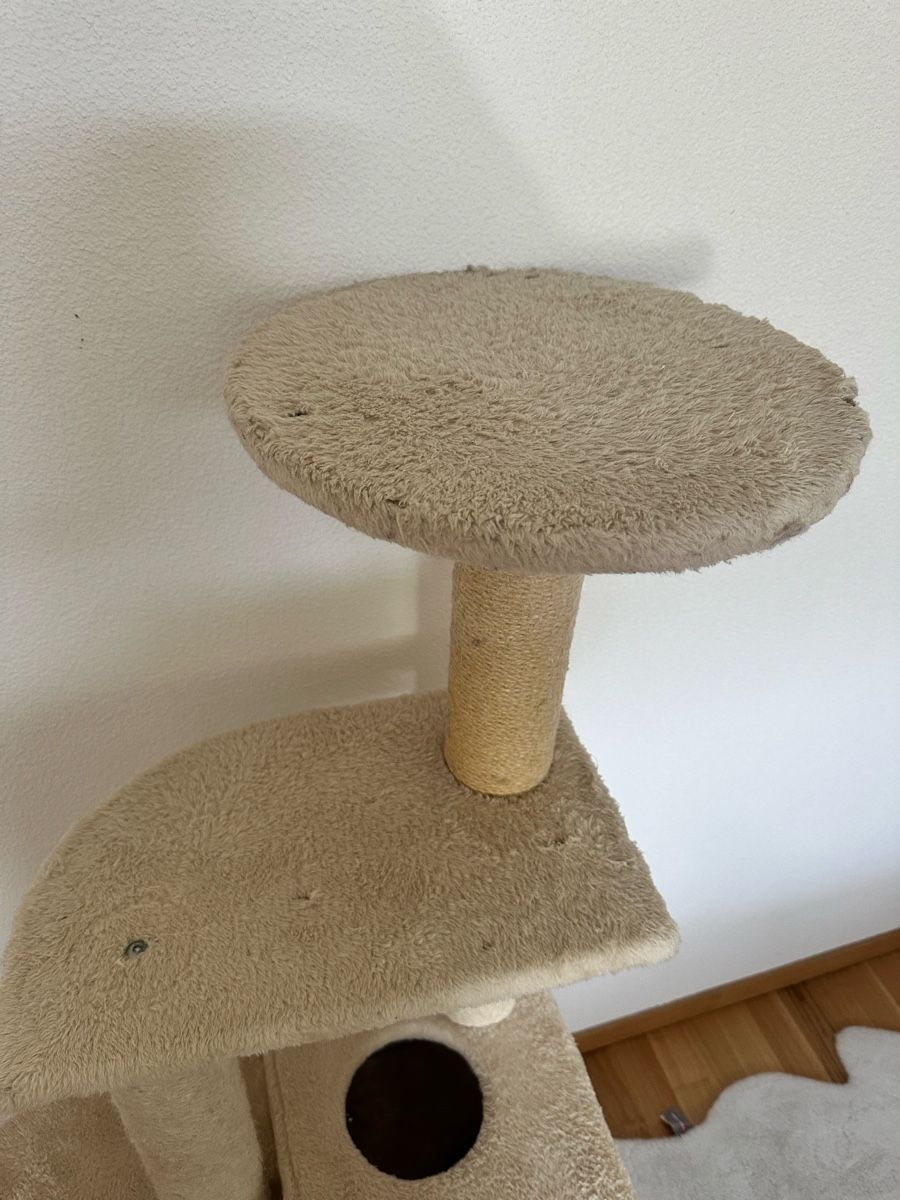 Tiragraffi: Kratzbaum für Katzen – Usato da Illnau venduto da ais_qm7t 2