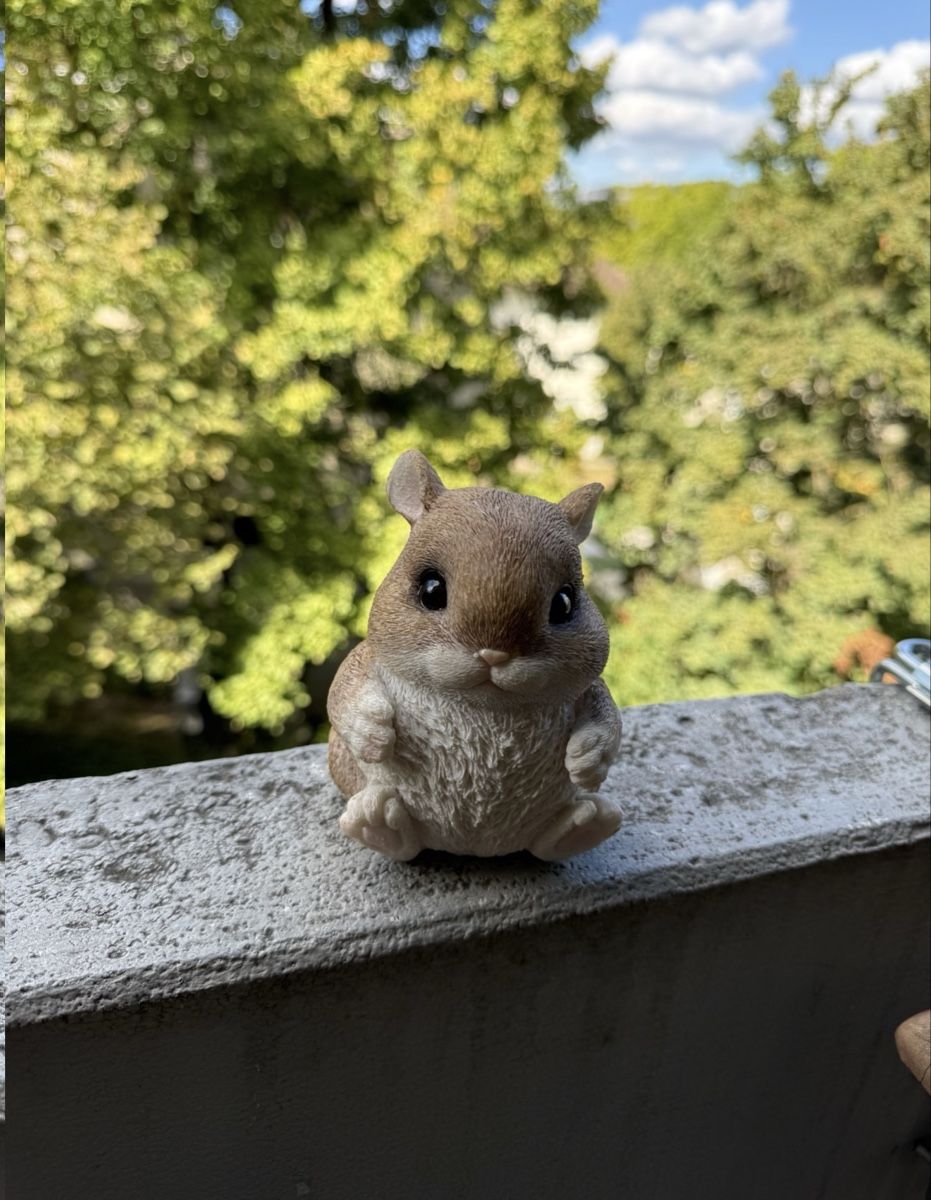 Figurines: Eichhörnchen Dekofigur – Neuf (Voir description) à Zürich par ath_grq2 2