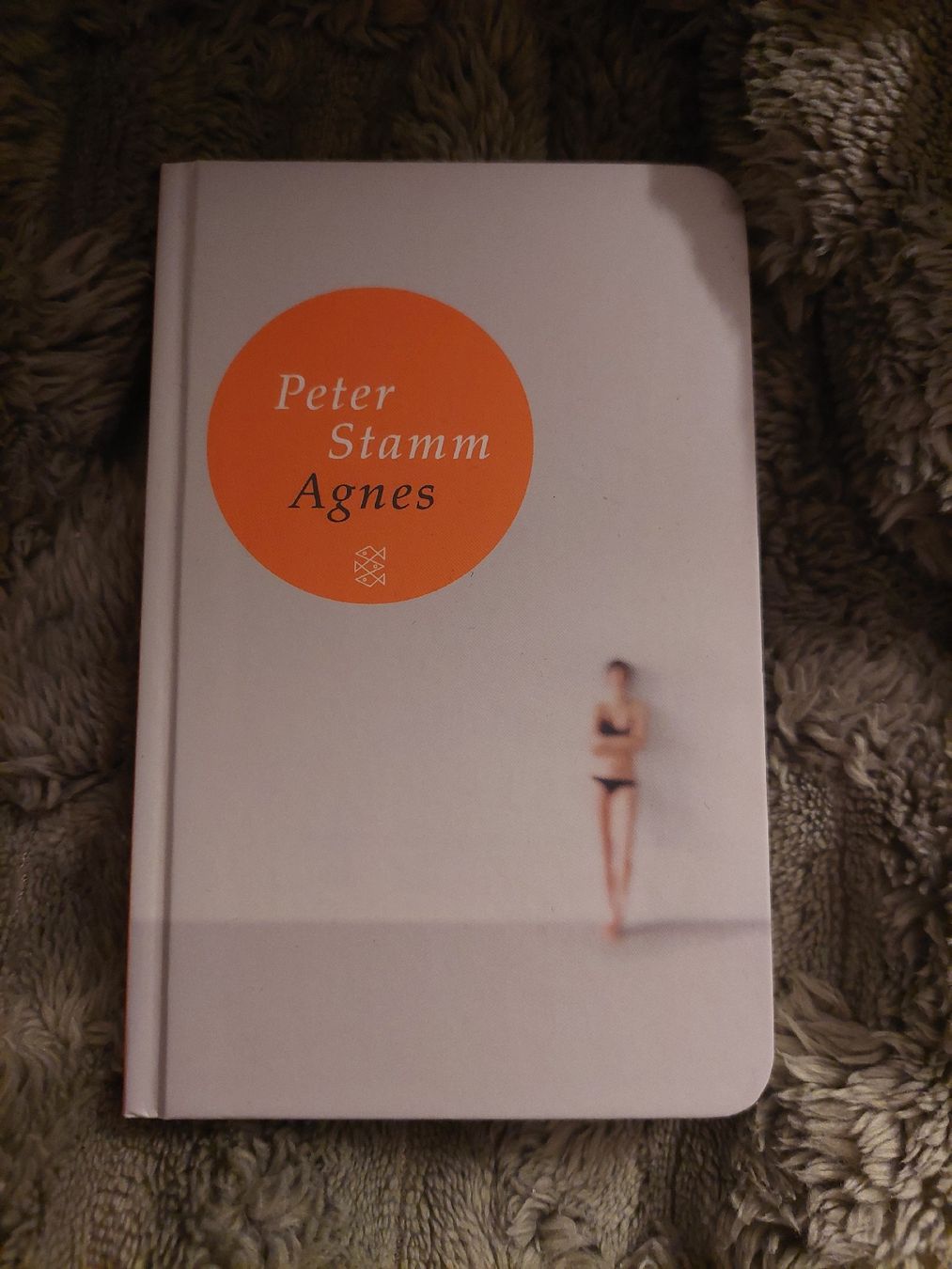 Libri: Peter Stamm - Agnes – Nuovo (secondo la descrizione) da Sennhof venduto da NNC_11