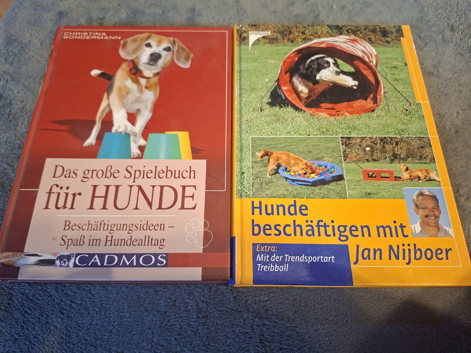 Libri: Hunde beschäftigen – Usato da Teufen AR venduto da nad_55nm