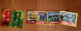 FIFA WM 2026 ca 325 Panini Sticker ohne Doppelte