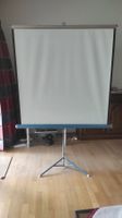 Da-Lite Flyer Beamerleinwand / Dia-Leinwand 120x123