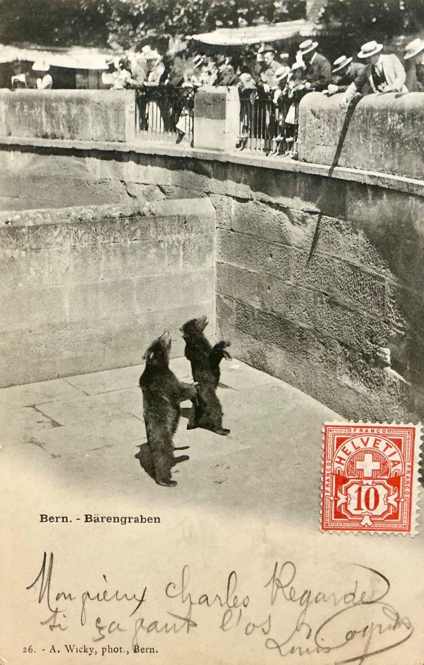 Cartoline postali: 1903 - BÄRENGRABEN Bern - Belebt – Usato da Root venduto da ENGLAND-TREASURES 1