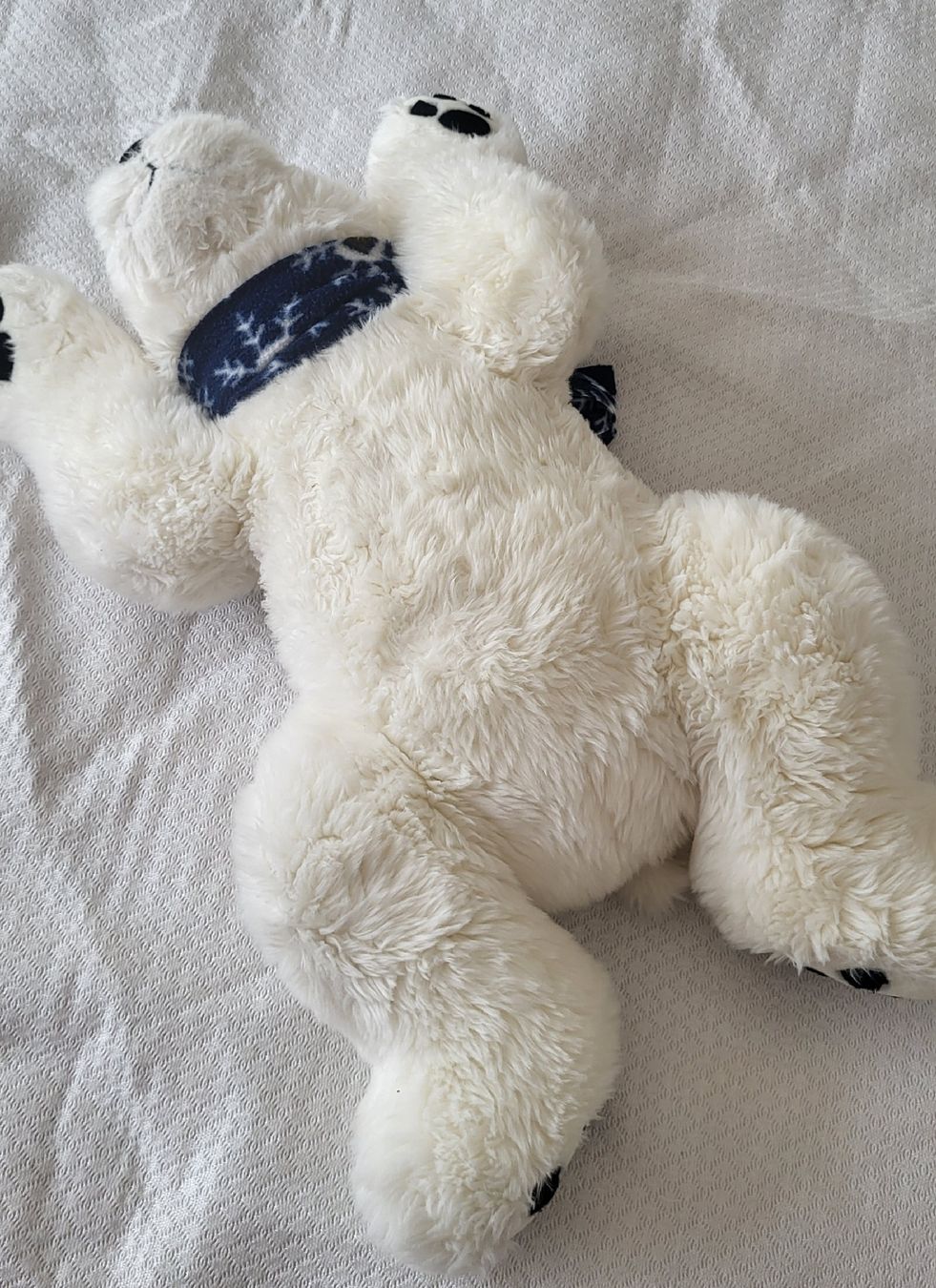 Spielzeuge: Ourson en peluche blanc  – Gebraucht aus Fribourg von VictoriaShop7 1