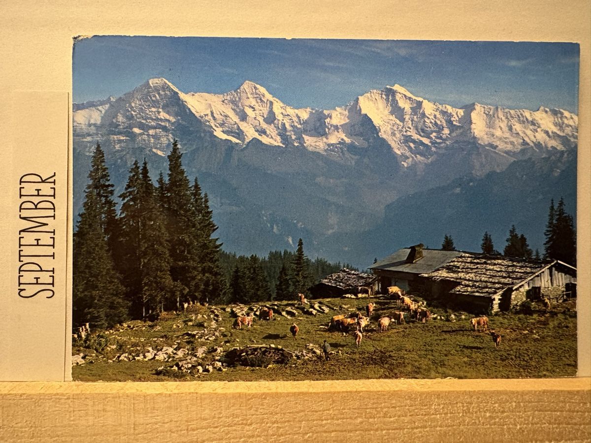 Cartoline postali: AK von Kühmatte bei Beatenberg – Usato da Rümlang venduto da Brieftaube1