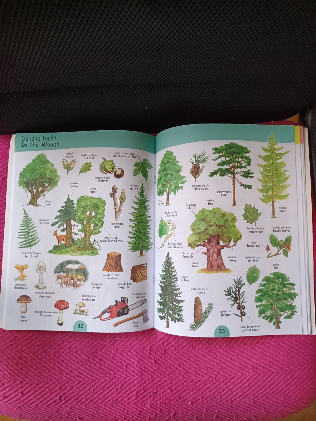 Libri: dictionnaire visuel – Usato da Soyhières venduto da 5jm_5czl 4