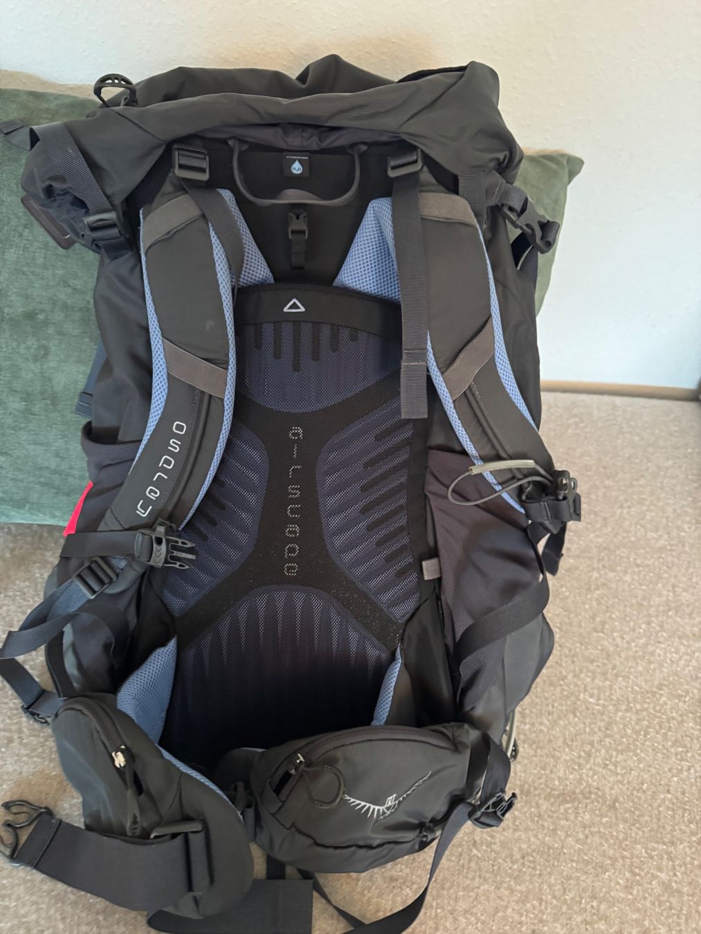 Osprey Zaini: Osprey Women's Kyte 56 – Nuovo (secondo la descrizione) da Zürich venduto da zuerich8032 2