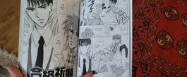 Boy's Love Manga