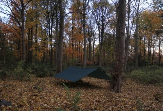 DD Hammocks Altro per Esercito: DD Hammocks Tarp 4 x 4 Oliv grün Regendach – Nuovo e nell'imballaggio originale da Tulln venduto da HaengemattenShop 7
