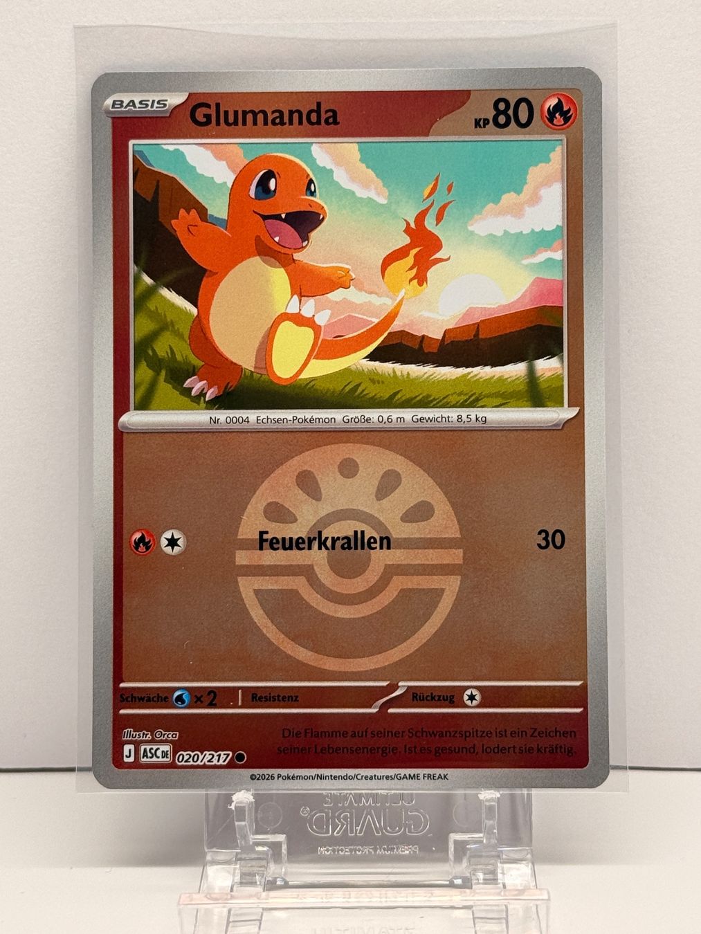 Pokémon Carte collezionabili: Glumanda ASC 020/217 Reverse Holo DE NM – Nuovo (secondo la descrizione) da bern venduto da Wankdorf_Retro