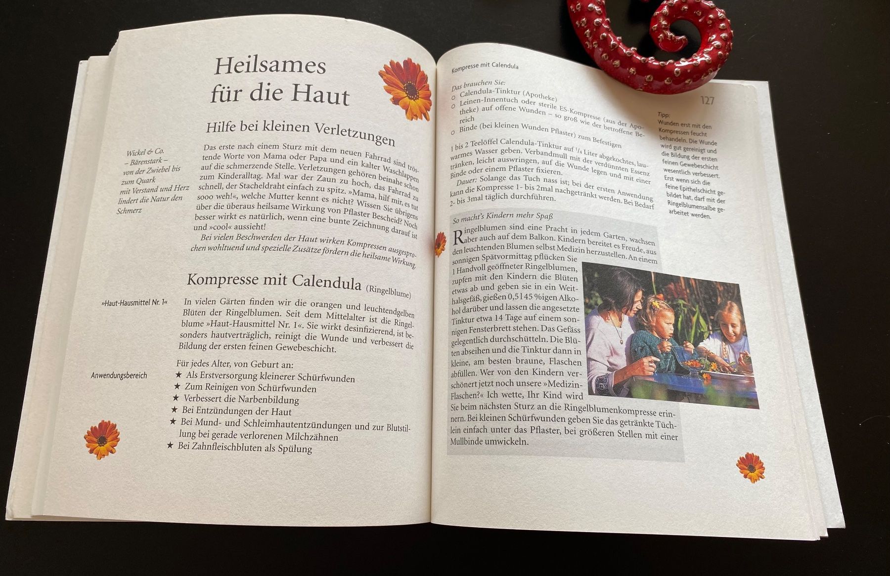 Libri: Wickel & Co für Kinder – Usato da Nussbaumen AG venduto da schuba2000 5