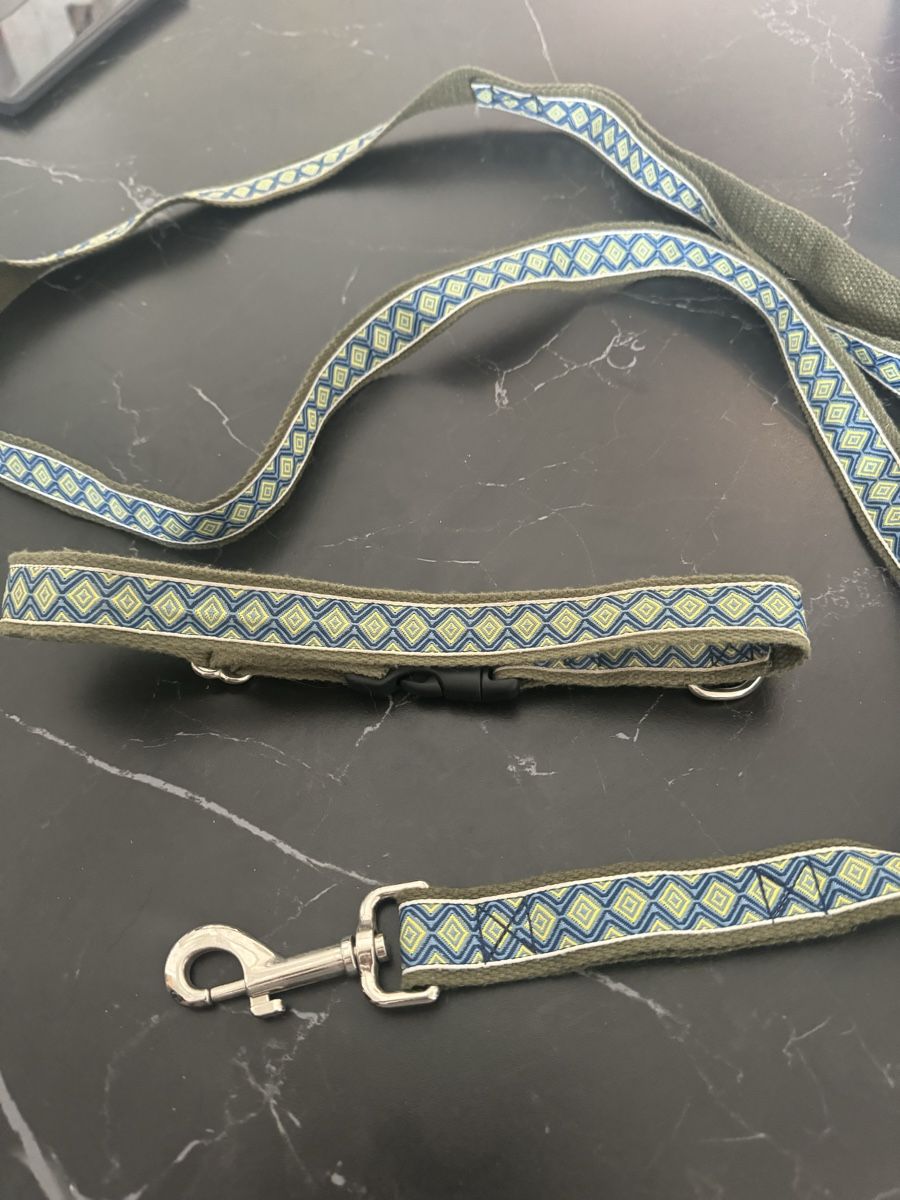Leine & Halsband: Leine sowie Halsband Set farbig – Gebraucht aus Niederglatt ZH von vul_v86c 2