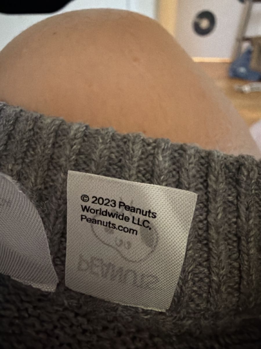 H&M Pullover & Sweatshirts: Official Sweater Peanuts – Neu (gemäss Beschreibung) aus Gurmels von ric_p89m 3