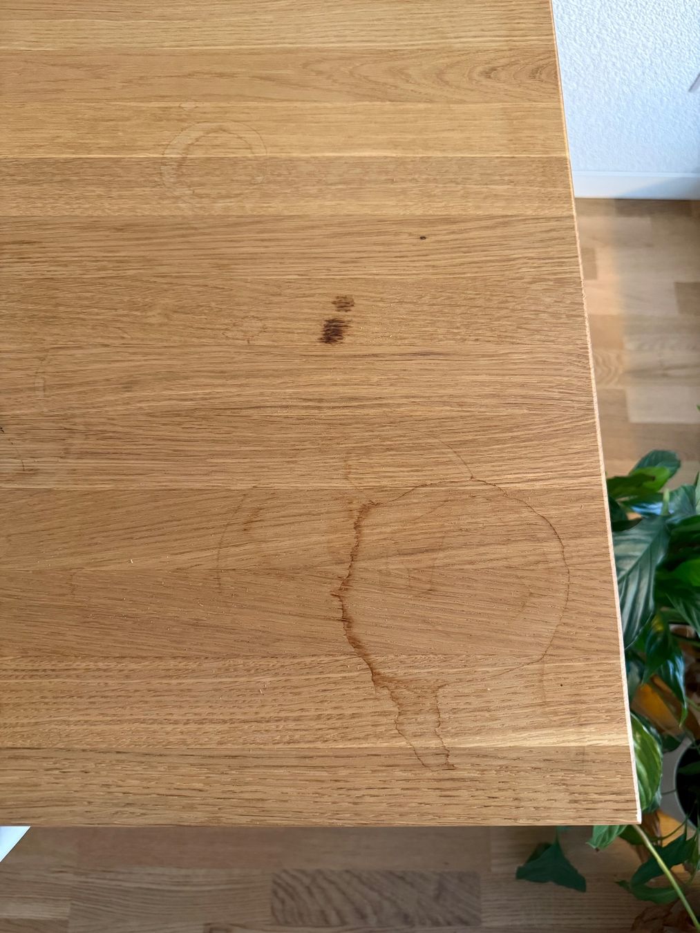 Pfister Tavoli: Möbel Pfister Tisch TRONDHEIM – Usato da Ostermundigen venduto da dan_v7dm 3